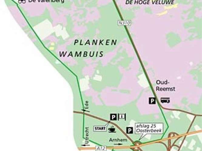 Natuurgebied Planken Wambuis